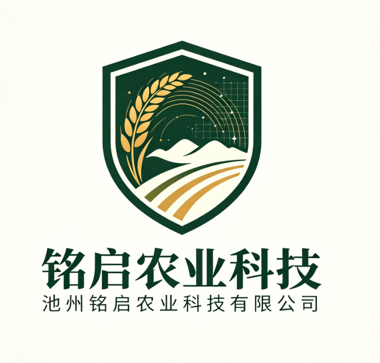 网站名称